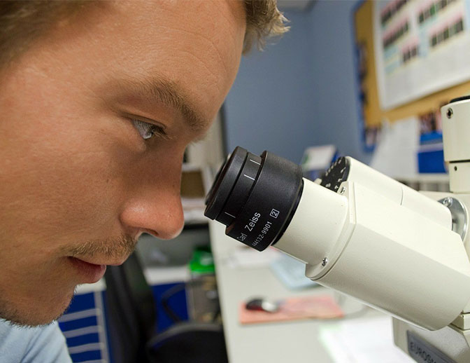 An intern looking in a microscope, at CSM laboratory.