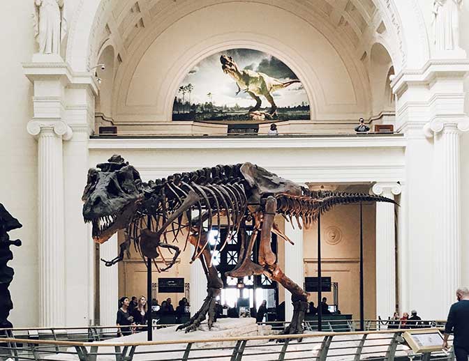 The Hall room with a giant dinosaur skeleton on display.